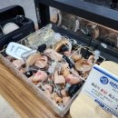 독일지멘스보청기 용인점 이미지