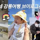 하은이네 이미지