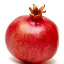 썬휘트니스 이미지