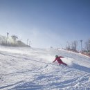 세빈파크 이미지