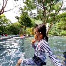 송림농원 이미지