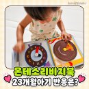 몬테소리 비지북 하베브릭스 꼬마몬테북 세탁 등 6개월 사용 후기