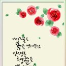 캘리그라피(C) 이미지