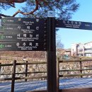 도봉산 송추~회룡사거리~포대정상~만월암~석굴암~마당바위~주봉~송추폭포~송추(260307) 이미지