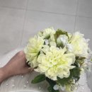 티아라헤어샵 | 에델린꾸뛰르 촬영 가봉 후기, 지정 혜택 꿀팁 공유 -소품 악세사리 베일