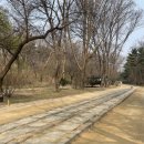 하나종묘 | 서울 가볼만한곳 종묘 방문 후기 | 해설 예약 꿀팁과 한적하게 즐기는 아침 산책 코스