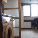 디지탈에버그린 이미지