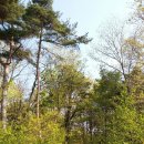 수덕펜션 이미지