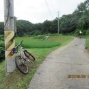 수원-0050 Daum카페