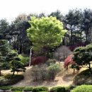 구봉산 가는길 이미지