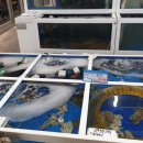 동부회수산시장 이미지