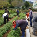 청풍면사무소 이미지