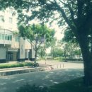 그루브 in 판소리 | 한세실업 대학생 봉사단 in Vietnam 5기 - #00