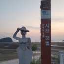 서해의 숨은 보석, 비인해수욕장에서 보낸 하루