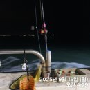 꾸미장원 | 보령권 무창포 쭈꾸미 선상낚시 3회차 출조 장비 채비 준비물 장원 후기 (25.9.15)