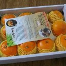 건영농장 이미지