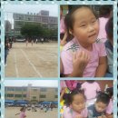 배영유치원 이미지