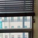 사동세천 이미지