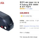 전기자전거용 배터리 해외 직구 48V 20AH 13S 18650 리튬 ebike 배터리 Hailong 최대 1000W 모터 이미지