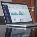 팀타이거짐 이미지