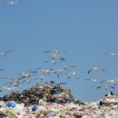 폐기물관리의 실상 국회보좌관에게 듣는다-2/ 미래 신산업을 위한 한국자원순환공사 설립하자 이미지