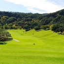 천룡컨트리클럽 이미지