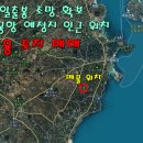 일출봉아로니아 이미지