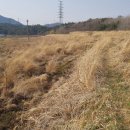 녹지부동산공인중개사사무소 이미지