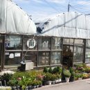 삼보농원 이미지