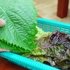 두리두리스튜디오