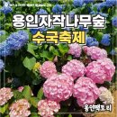 까사팩토리 - 창원시 마산합포구 북성로 14 | 용인 자작나무숲 2026 수국축제 즐기는 방법, 까사포레 레스토랑 이용 후기