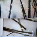 태후사랑 | 광교 두피관리 추천, 태후사랑 광교중앙점 후기 🌿