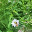 호원중학교 이미지