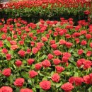 약수역(3호선) 이미지