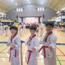 한림태권도체육관 이미지