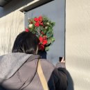 대추밭길60 | 2024.1.