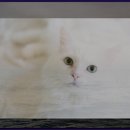 금강호 관광지 | 황둔리 트레킹 코스와 함께한 금강호 관광지 후기