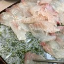 돌돔천국 | 부산 횟집ㅣ부산 로컬 맛집 정선장횟집 붉바리·돌돔회 후기