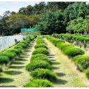 수종목장 이미지