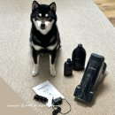 포쉬펫 | 펫 청소기 습식으로 깨끗하게 포쉬워시젯