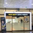 다채움피부과의원 이미지