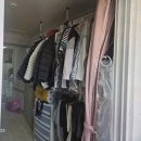 선산대로-12 이미지