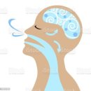 로드스타 휘트니스 이미지