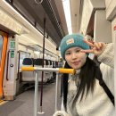 탑스타약국 | 유럽 신혼여행 2일차 런던에서 파리 가는 법 유로스타 탑승 후기 및 시타딘 투어 에펠 파리 호텔 숙박