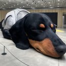 공윤성뷰티하우스 | 성수동 가볼만한곳 하우스노웨어서울 위치 젠틀몬스터 탬버린즈