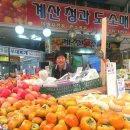 계산청과