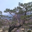 둔내농원