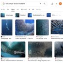 산타클로스안경 | 차 : 탕코코국립공원 내돈내산 투어 대만족한 후기 / 안경원숭이·블랙마카크 실물 영접 / 준비물 및...