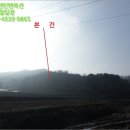 안성시동평보건진료소 네이버블로그