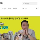 낭창한 강아지 이미지